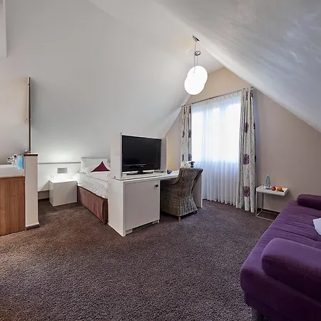 酒店 Reichsstadt - Und Restaurant 哥根巴赫